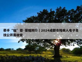 牵手“福”蓉·荣耀同行｜2024成都市残疾人电子竞技公开赛收官