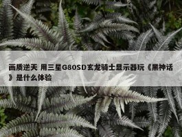 画质逆天 用三星G80SD玄龙骑士显示器玩《黑神话》是什么体验