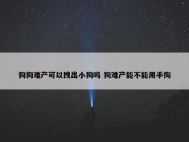 狗狗难产可以拽出小狗吗 狗难产能不能用手掏