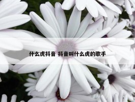 什么虎抖音 抖音叫什么虎的歌手