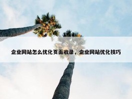 企业网站怎么优化页面收录，企业网站优化技巧