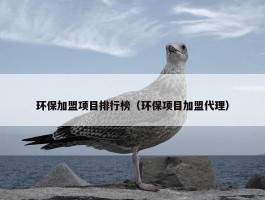 环保加盟项目排行榜（环保项目加盟代理）