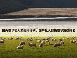 国内豪华私人游艇排行榜，国产私人超级豪华游艇排名