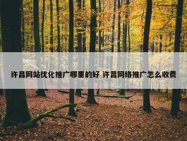 许昌网站优化推广哪里的好 许昌网络推广怎么收费