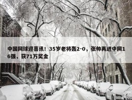 中国网球迎喜讯！35岁老将轰2-0，张帅再进中网16强，获71万奖金