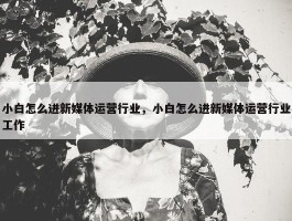 小白怎么进新媒体运营行业，小白怎么进新媒体运营行业工作