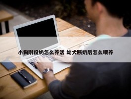 小狗刚段奶怎么养活 幼犬断奶后怎么喂养