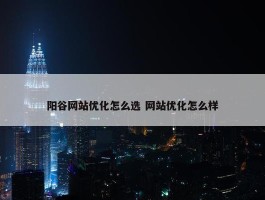 阳谷网站优化怎么选 网站优化怎么样