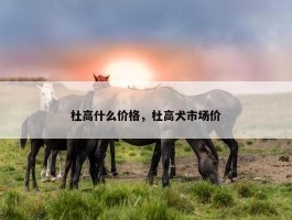 杜高什么价格，杜高犬市场价