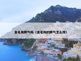 金毛有脾气吗（金毛狗的脾气怎么样）