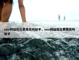 seo网站优化费用高吗知乎，seo网站优化费用高吗知乎