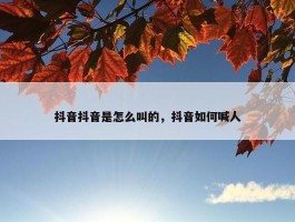 抖音抖音是怎么叫的，抖音如何喊人