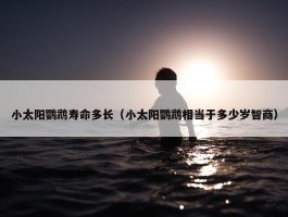 小太阳鹦鹉寿命多长（小太阳鹦鹉相当于多少岁智商）