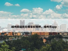 嵊州网站优化哪家好用啊，嵊州市app