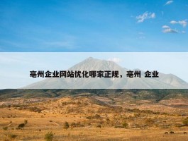 亳州企业网站优化哪家正规，亳州 企业