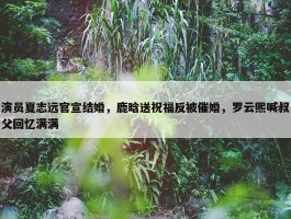 演员夏志远官宣结婚，鹿晗送祝福反被催婚，罗云熙喊叔父回忆满满