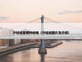 沙娃娃是哪种蜥蜴（沙娃娃图片及价格）