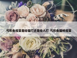 弓形虫疫苗是给猫打还是给人打 弓形虫猫咪疫苗