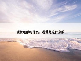 观赏龟都吃什么，观赏龟吃什么的