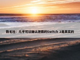 数毛社：几乎可以确认泄露的Switch 2是真实的