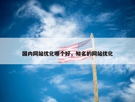 国内网站优化哪个好，知名的网站优化