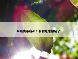 阿斯麦带崩AI？台积电来镇场了！