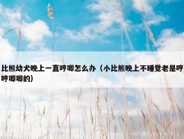 比熊幼犬晚上一直哼唧怎么办（小比熊晚上不睡觉老是哼哼唧唧的）