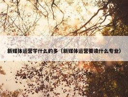 新媒体运营学什么的多（新媒体运营要读什么专业）