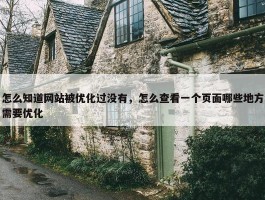 怎么知道网站被优化过没有，怎么查看一个页面哪些地方需要优化