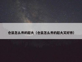 仓鼠怎么养的超大（仓鼠怎么养的超大又好养）