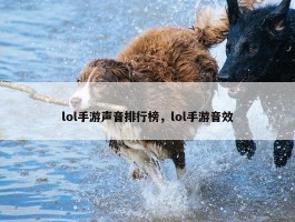 lol手游声音排行榜，lol手游音效