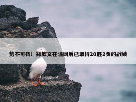 势不可挡！郑钦文在温网后已取得20胜2负的战绩