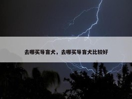 去哪买导盲犬，去哪买导盲犬比较好