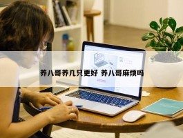 养八哥养几只更好 养八哥麻烦吗