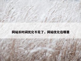 网站长时间优化不见了，网站优化在哪里