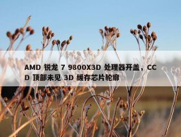 AMD 锐龙 7 9800X3D 处理器开盖，CCD 顶部未见 3D 缓存芯片轮廓