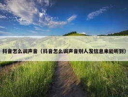 抖音怎么调声音（抖音怎么调声音别人发信息来能听到）