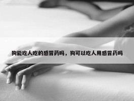 狗能吃人吃的感冒药吗，狗可以吃人用感冒药吗