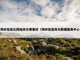 铁岭信息化网站优化哪里好（铁岭信息和大数据服务中心）