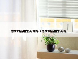 德文的品相怎么算好（德文的品相怎么看）