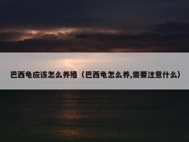 巴西龟应该怎么养殖（巴西龟怎么养,需要注意什么）