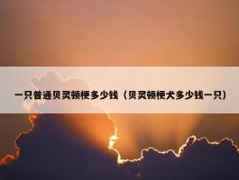 一只普通贝灵顿梗多少钱（贝灵顿梗犬多少钱一只）