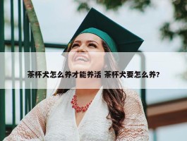 茶杯犬怎么养才能养活 茶杯犬要怎么养?