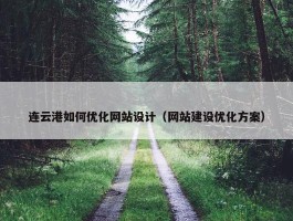 连云港如何优化网站设计（网站建设优化方案）