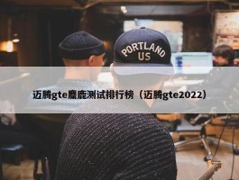 迈腾gte麋鹿测试排行榜（迈腾gte2022）