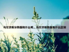 马尔济斯分韩版和什么呢，马尔济斯韩版有什么区别