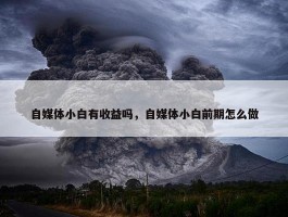 自媒体小白有收益吗，自媒体小白前期怎么做