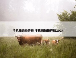 手机畅销排行榜 手机畅销排行榜2024