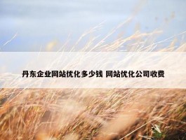 丹东企业网站优化多少钱 网站优化公司收费