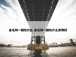 金毛狗一般吃什么 金毛狗一般吃什么食物好